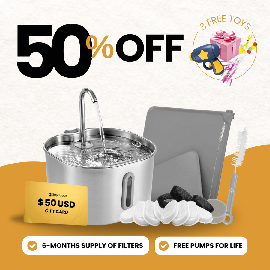 KittySpout bundle