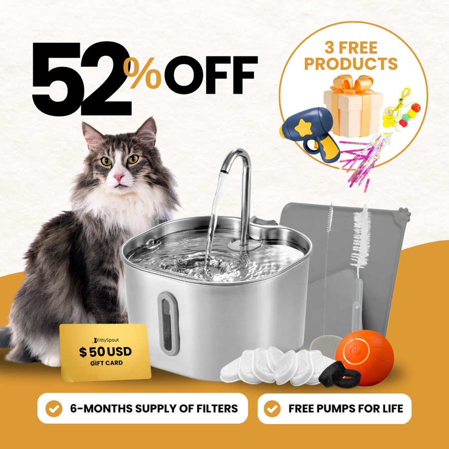 KittySpout bundle
