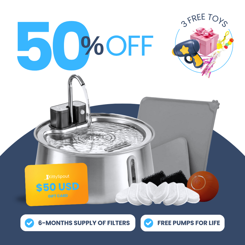 Back to School Sale - Wireless 2.0 Hydration and Playtime Value Bundle