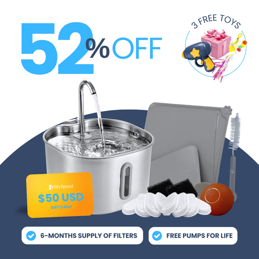 Back to School Sale - 2.2L Hydration and Playtime Value Bundle