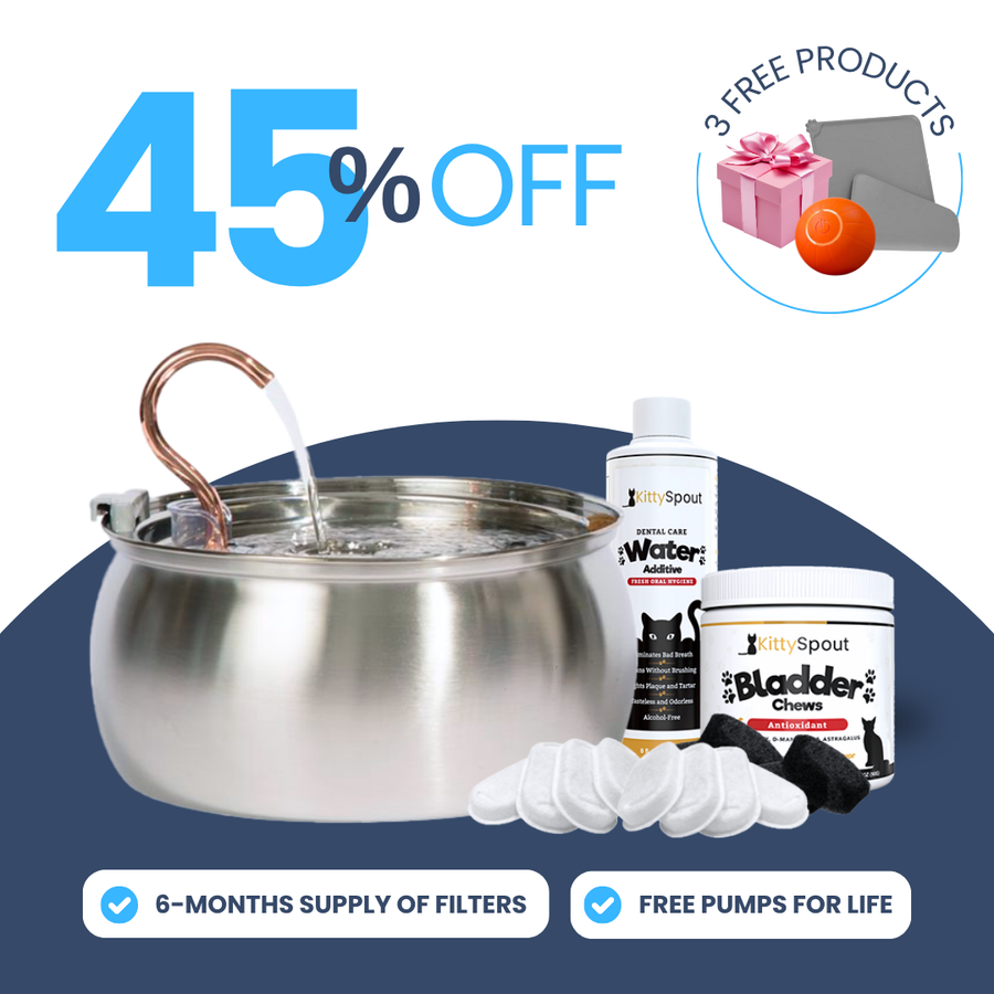 Back to School Sale - Hydration and Health Bundle