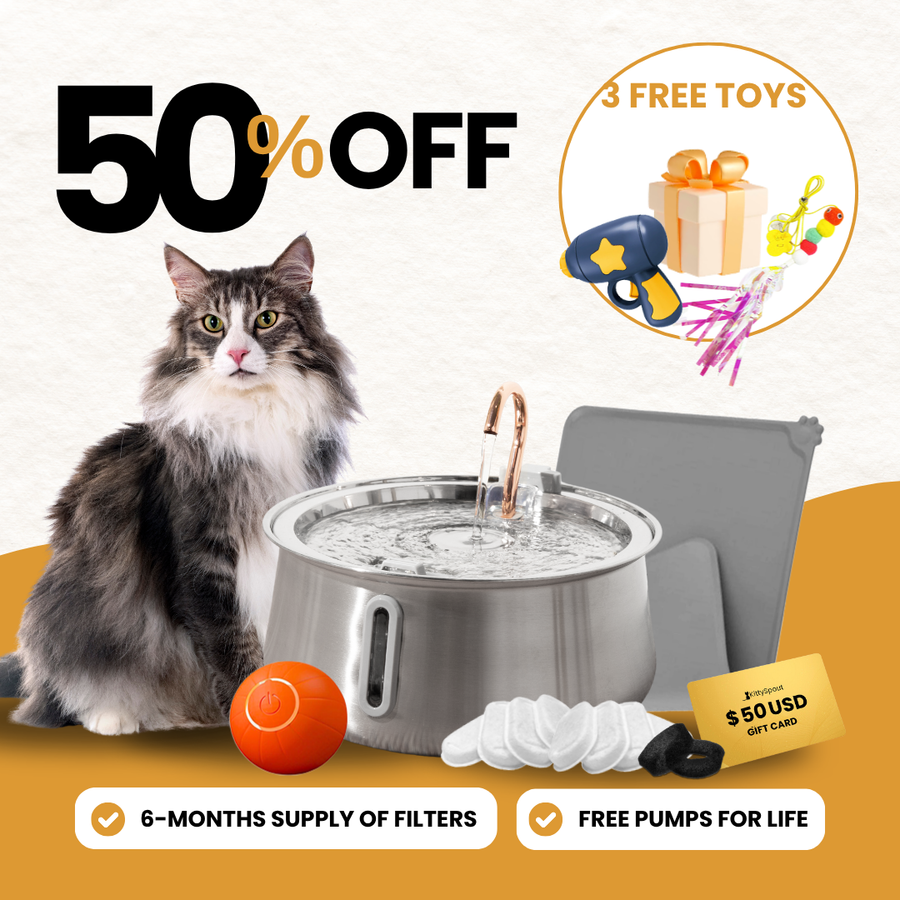KittySpout bundle