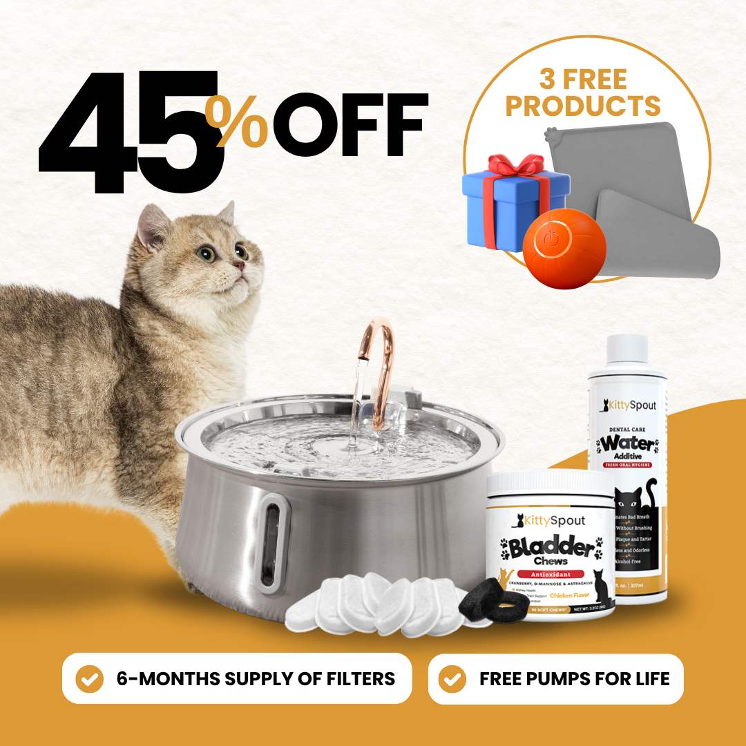 KittySpout bundle