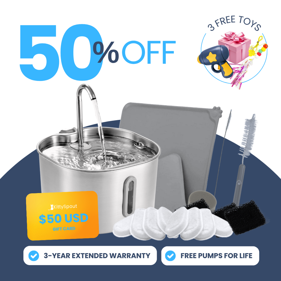 Back to School Sale - 2.2L VIP Value Bundle