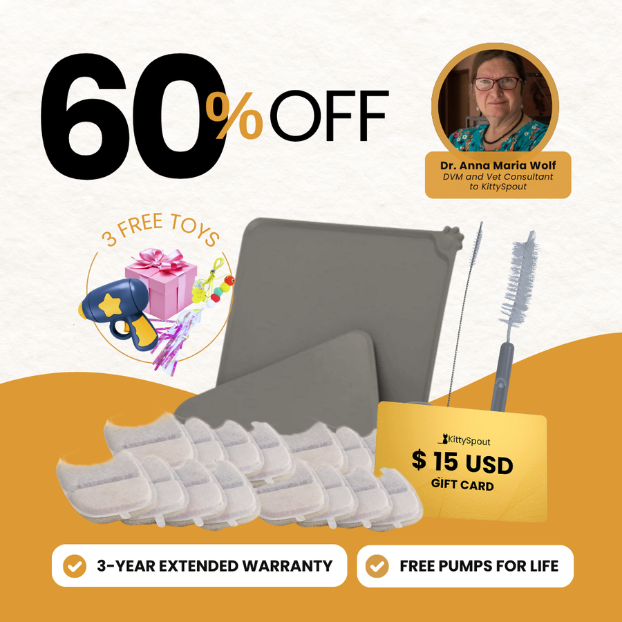 KittySpout bundle