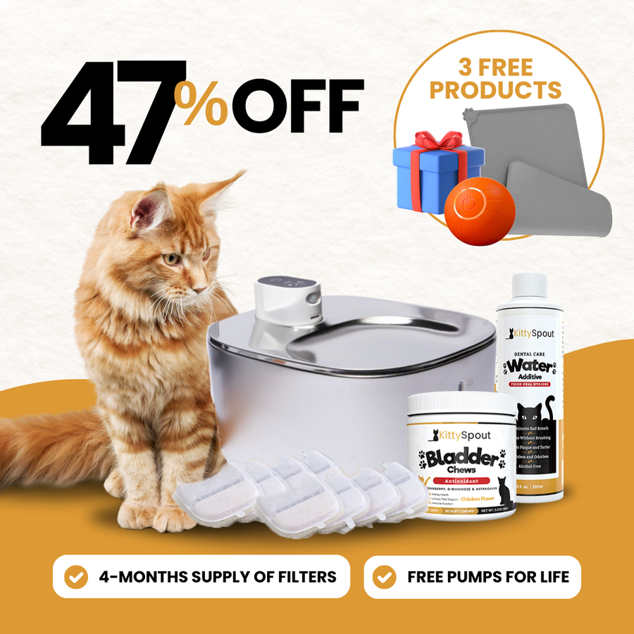 KittySpout bundle