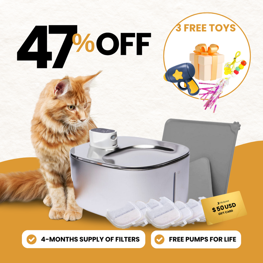 KittySpout bundle