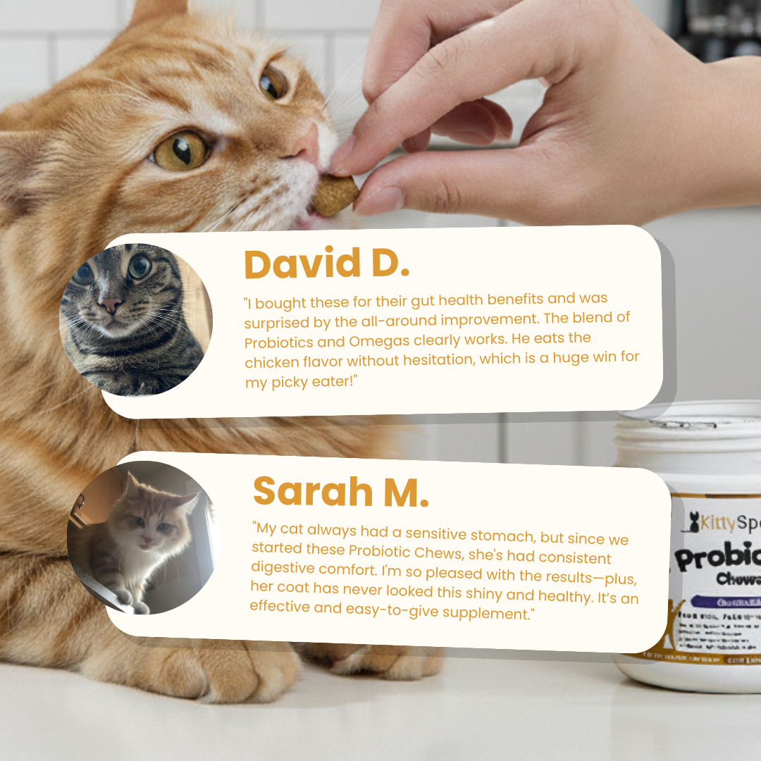 KittySpout Probiotic Chews - 90 Day Supply