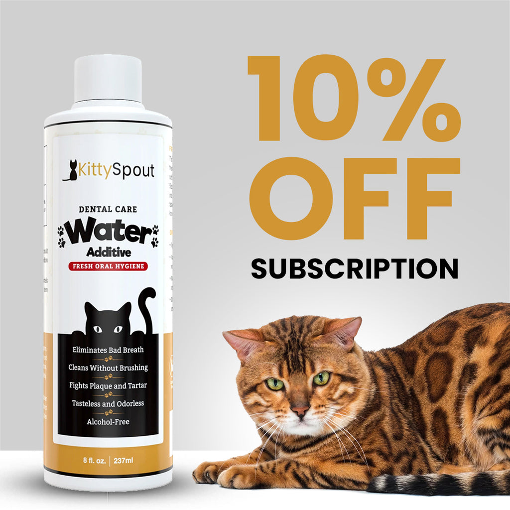 Dental Care Water Additive