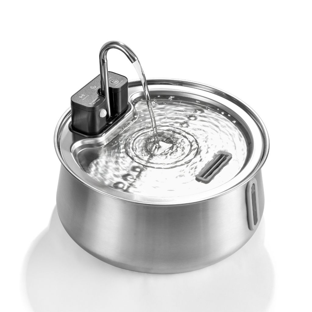 Wireless 2.0 Purrr-fect KittySpout Kit