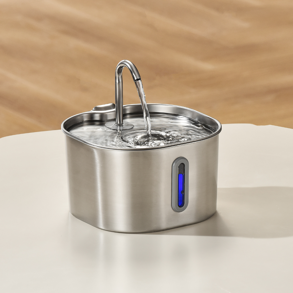 The KittySpout™ - 2.2L Hydration & Playtime Value Bundle