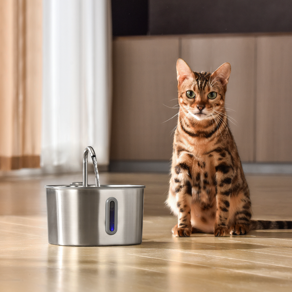 Faucet-Style Flow [Cats Already Trust]