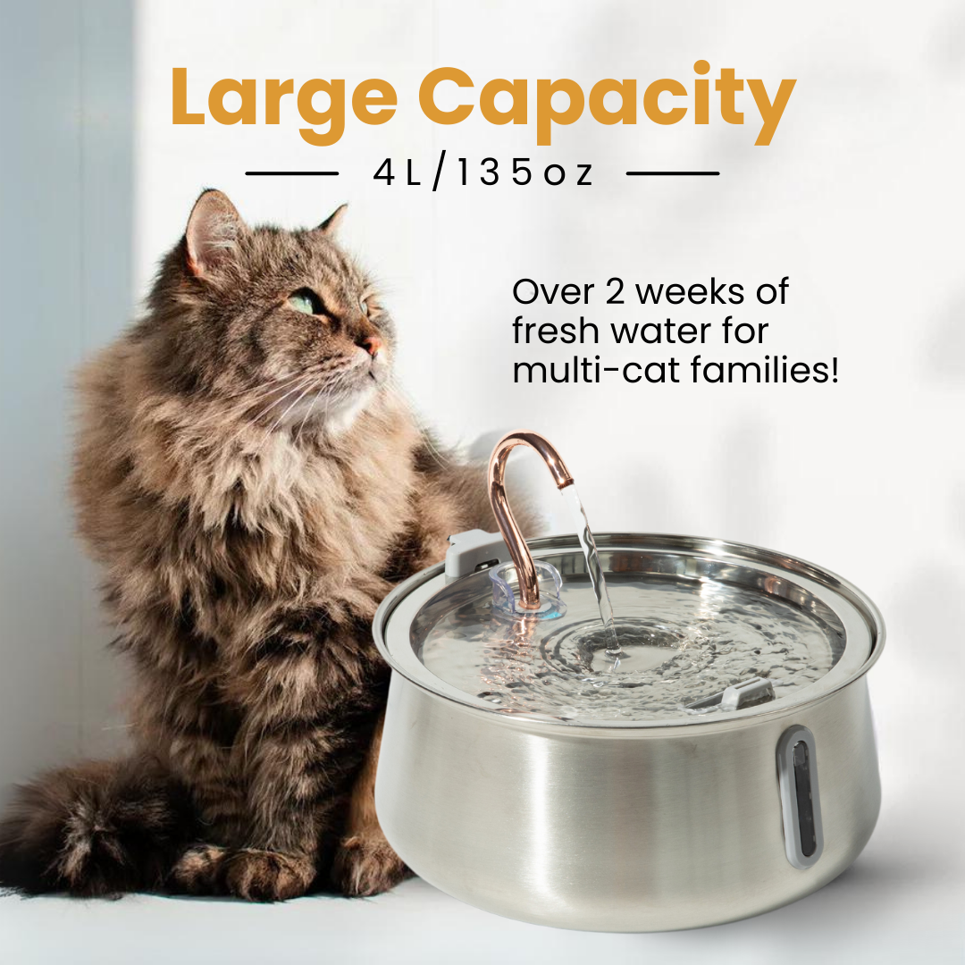 Like New The KittySpout 2.0 - Health & Happiness Cat Kit - 2 Month: KittySpout + 4 filter sets + AC adapter