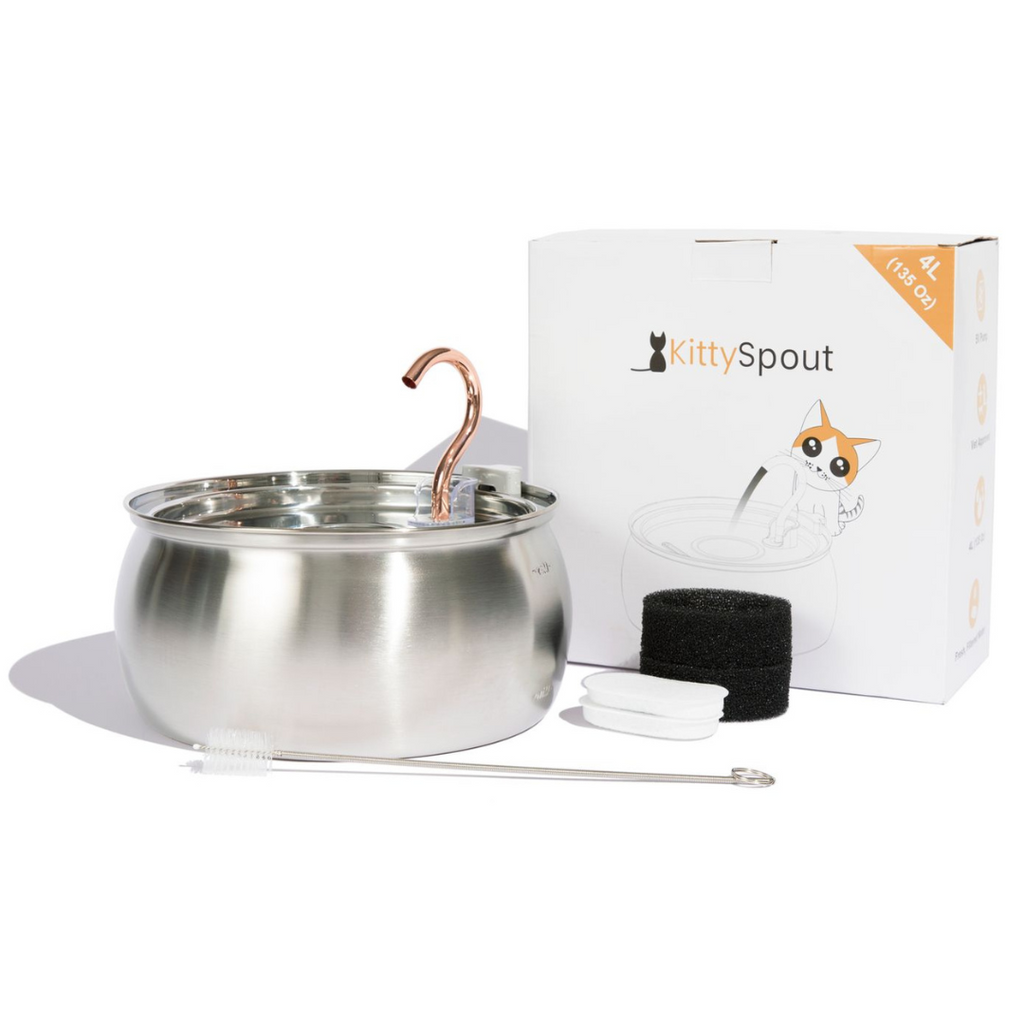 Like New Big Cat Family Bundle - 4L / 4L