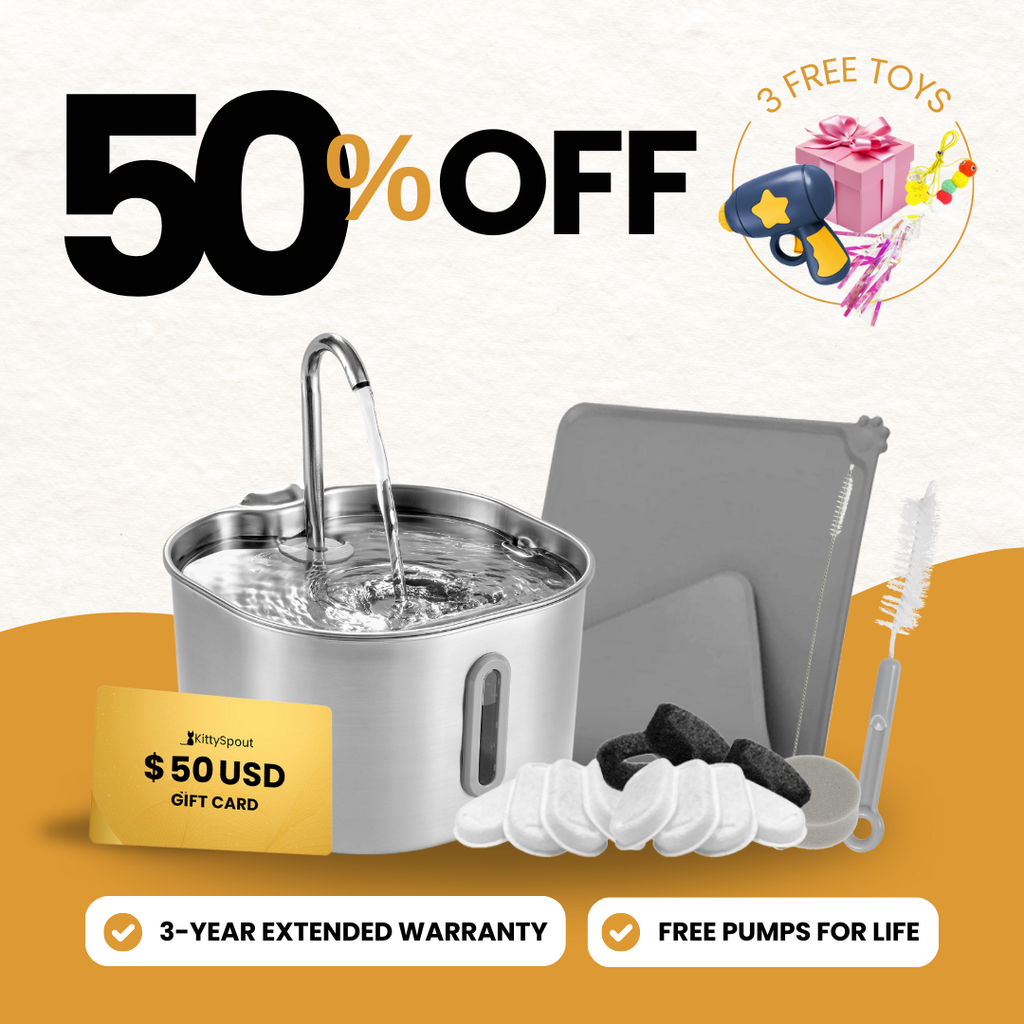 The KittySpout™ - 2.2L VIP Value Bundle