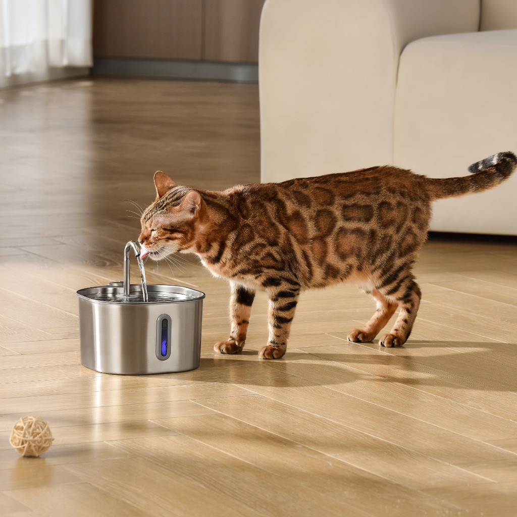 Like New The KittySpout - Health & Happiness Cat Kit (2.2L) - 2 Month: KittySpout + 4 filter sets + AC adapter