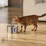 The KittySpout™ - 2.2L Fountain 2–month Kit LP TEST thumbnail