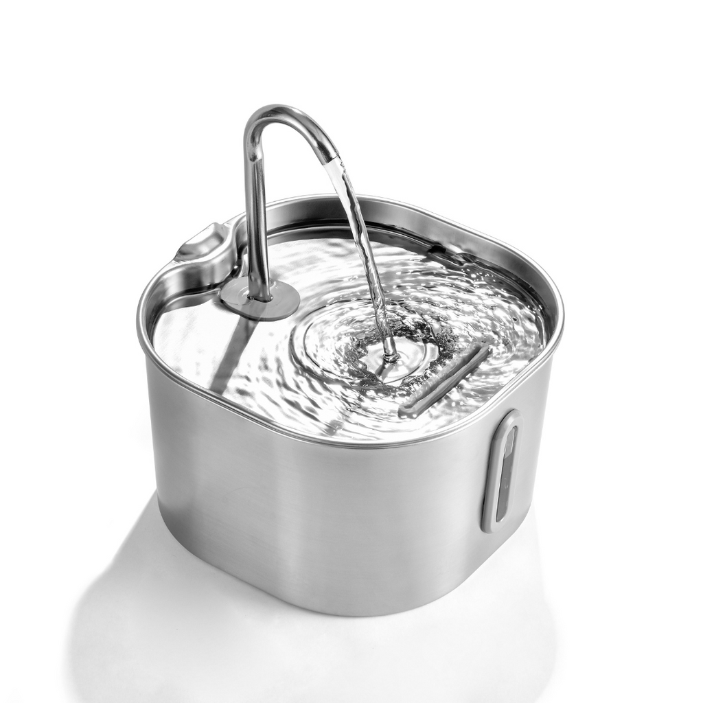 The KittySpout™ - 2.2L Hydration & Playtime Value Bundle