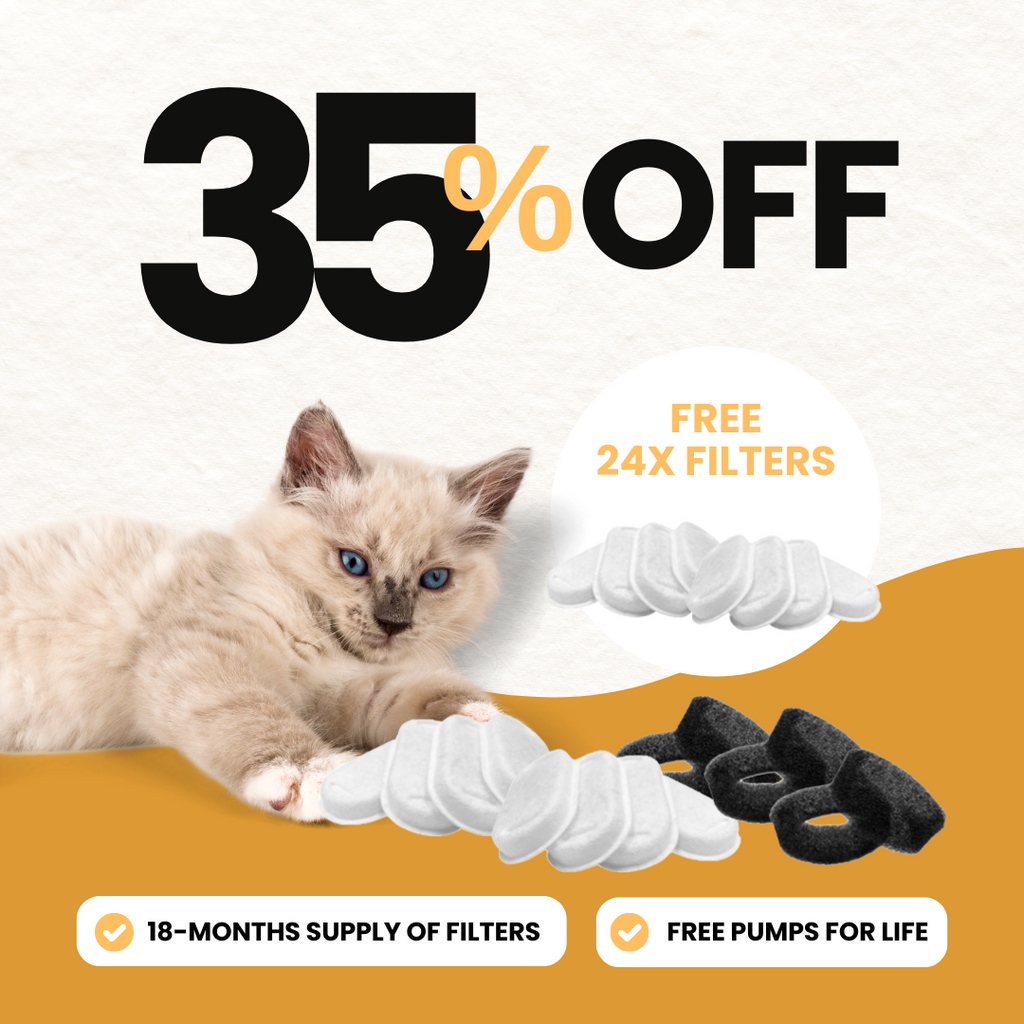 24x Juegos de filtros + 12x GRATIS 