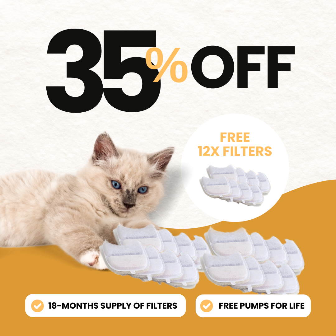 Filtros de repuesto inalámbricos KittySpout