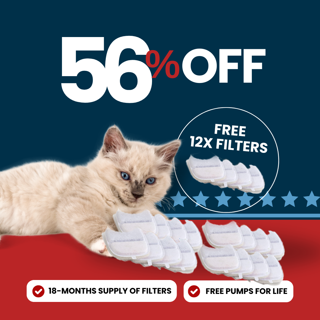 Refurbished 24x Filter Sets + 12x FREE - Wireless Filters Offer