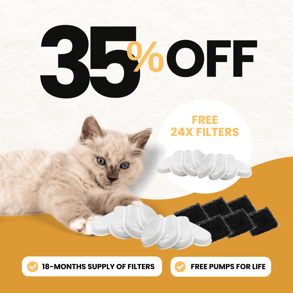 24x Juegos de filtros + 12x GRATIS 