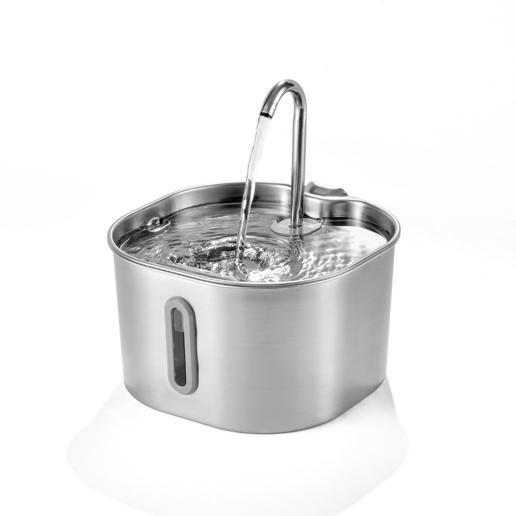 The KittySpout™ - 2.2L Hydration & Playtime Value Bundle