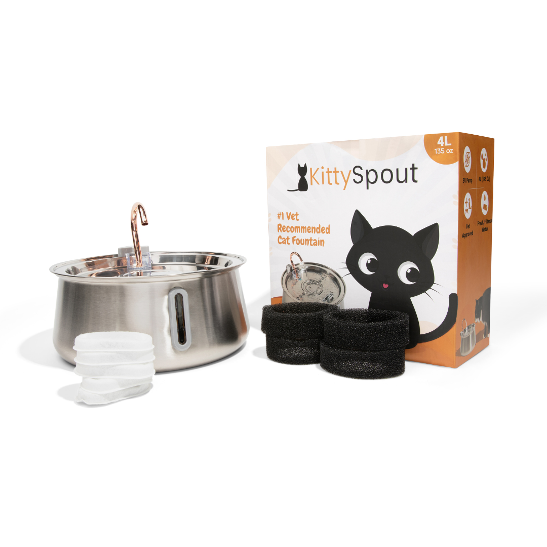 Kit de salud y felicidad para gatos The KittySpout™