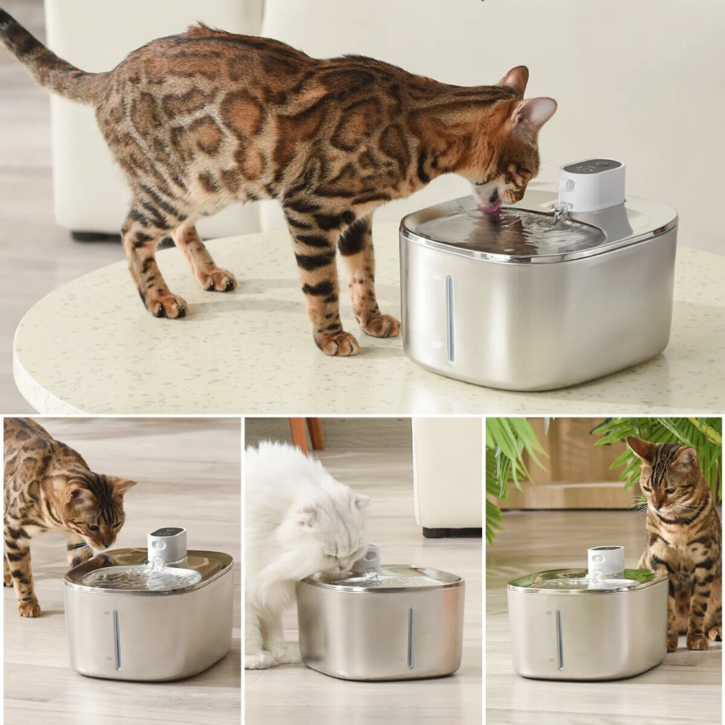 The KittySpout™ - Wireless Fountain