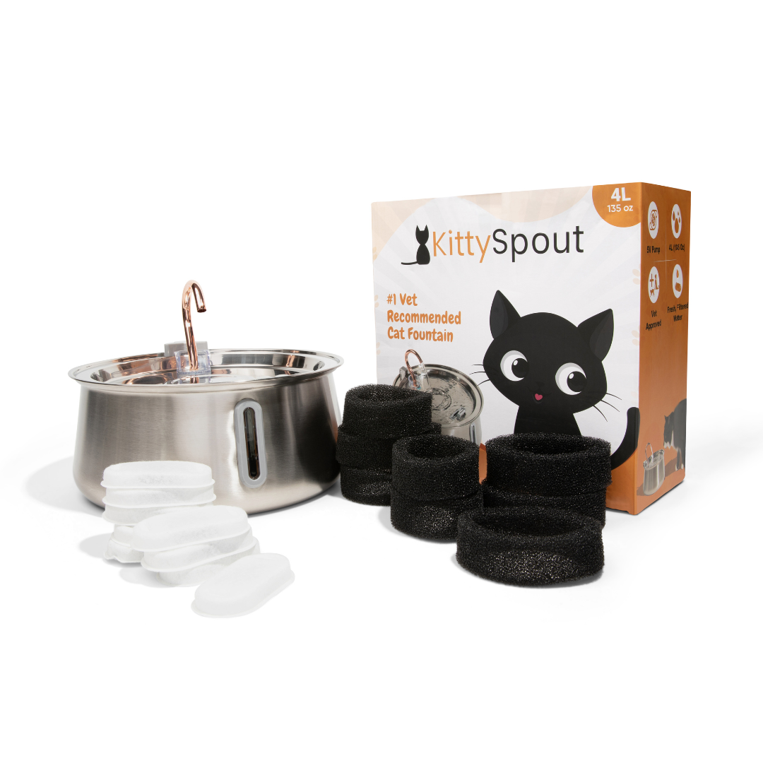 Kit de salud y felicidad para gatos The KittySpout™