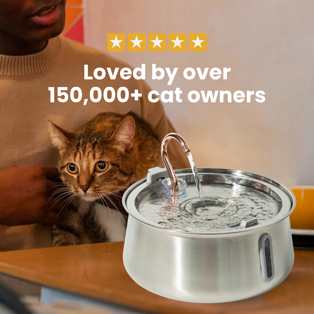 Like New The KittySpout 2.0 - Health & Happiness Cat Kit - 2 Month: KittySpout + 4 filter sets + AC adapter