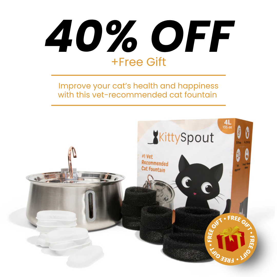 The KittySpout™ - Health & Happiness Cat Kit