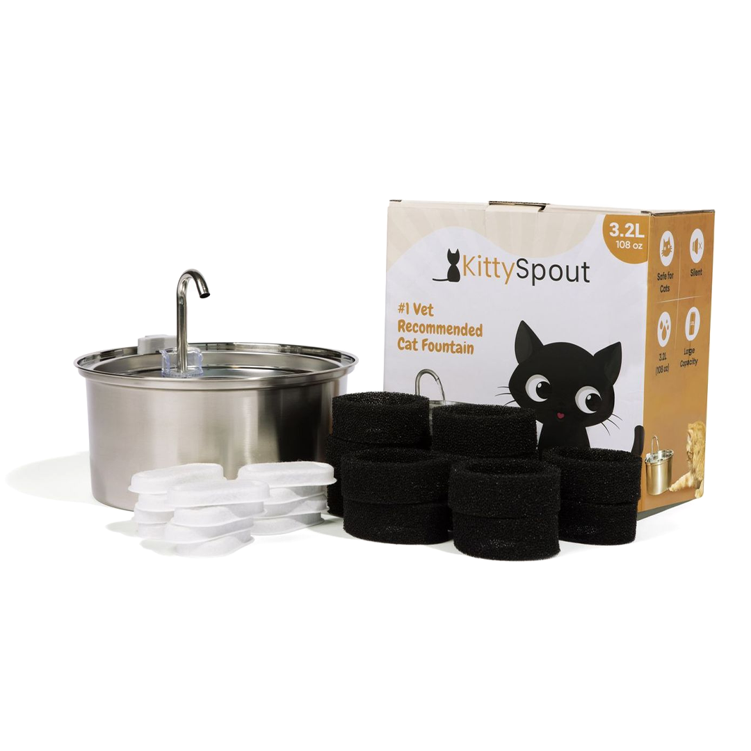 The KittySpout™ - Health & Happiness Cat Kit