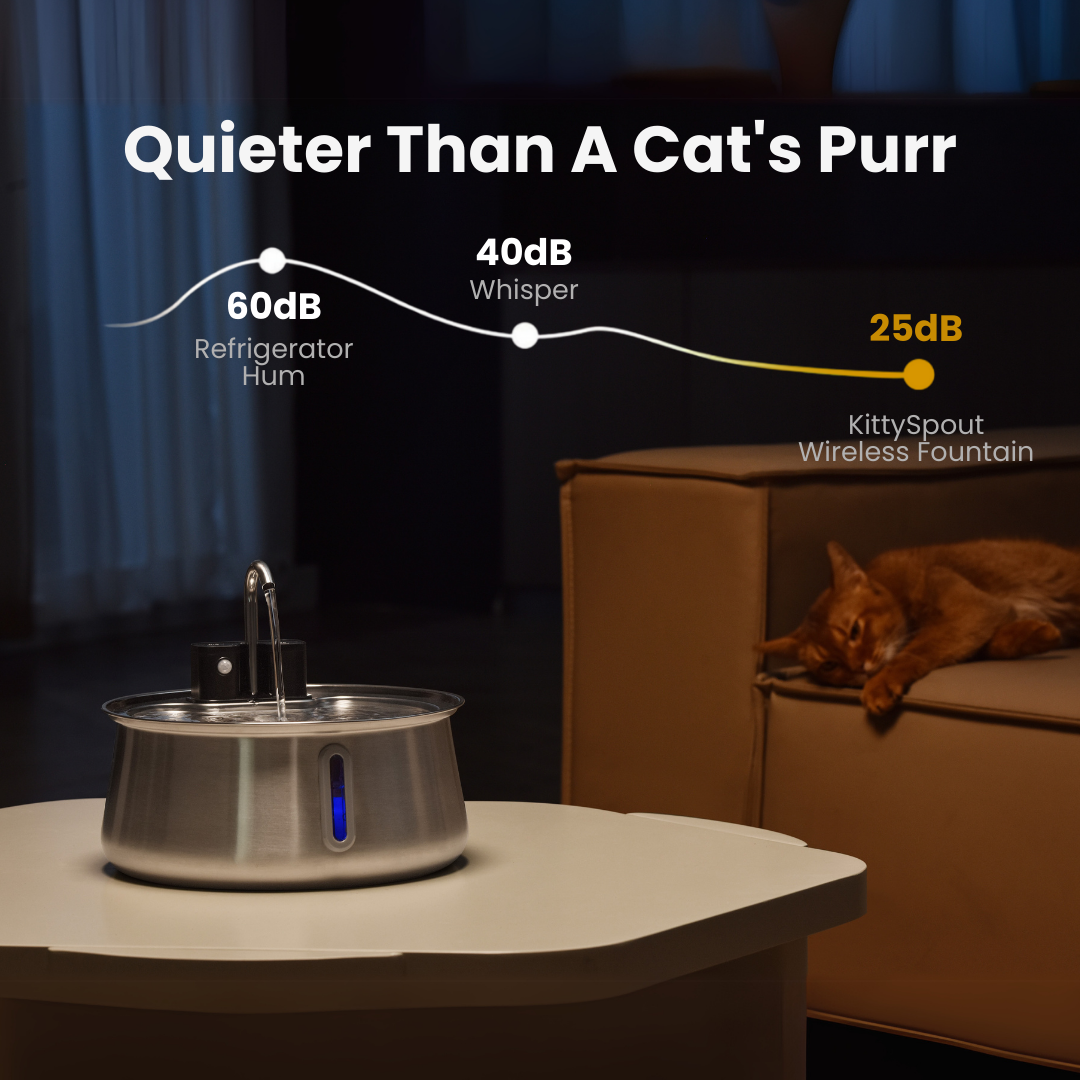 Wireless 2.0 Purrr-fect KittySpout Kit