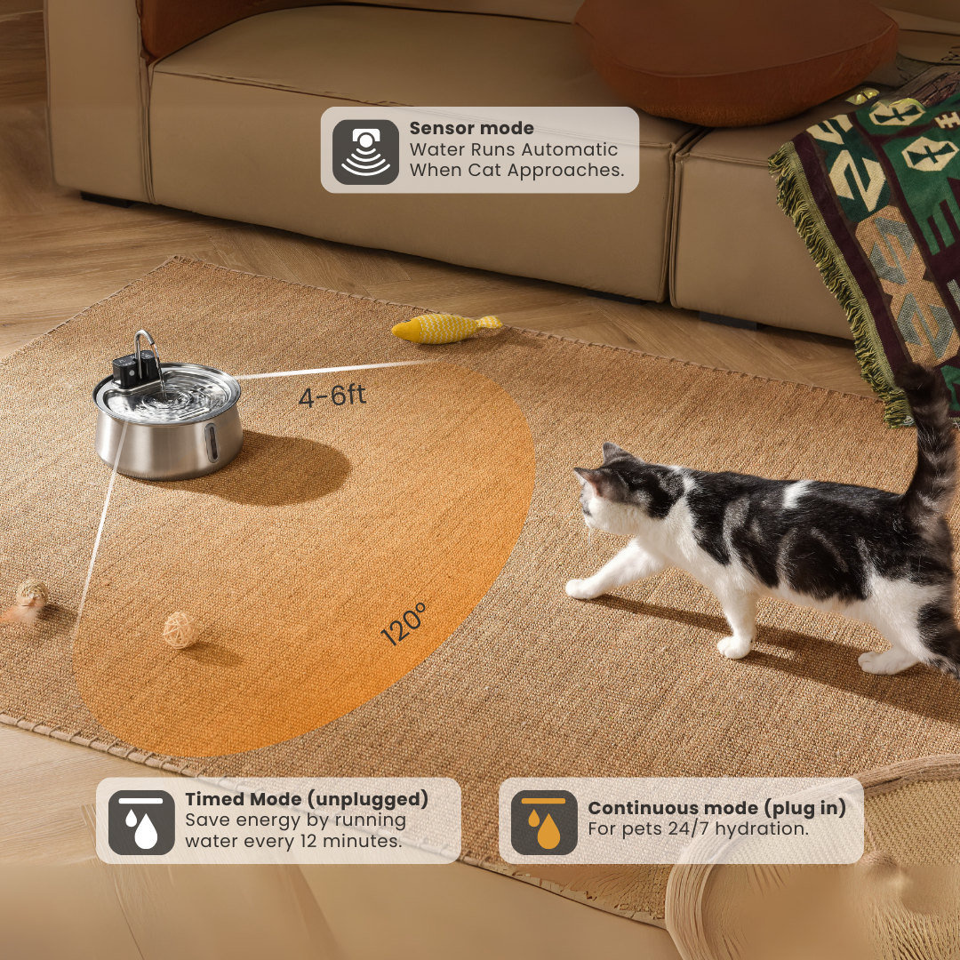 Wireless 2.0 Purrr-fect KittySpout Kit