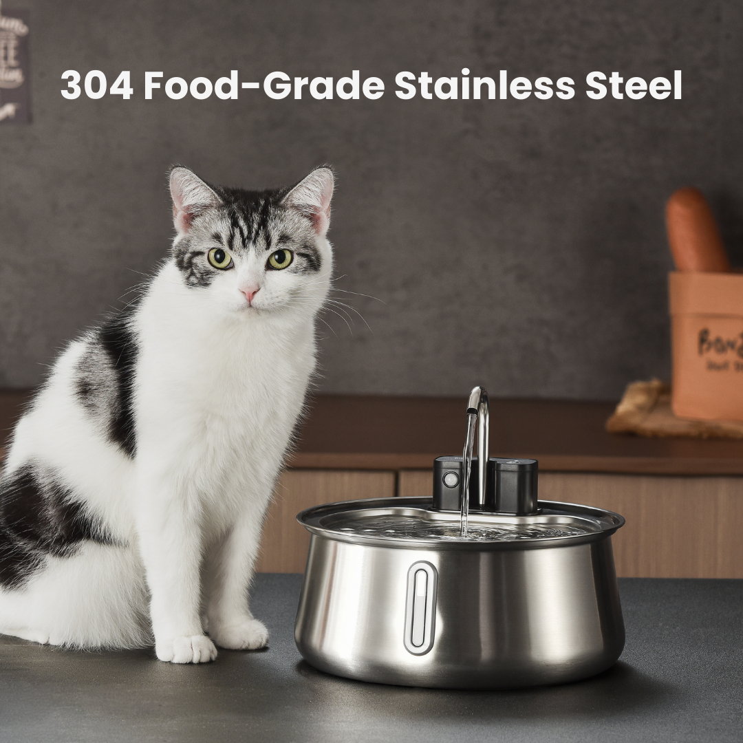 Wireless 2.0 Purrr-fect KittySpout Kit