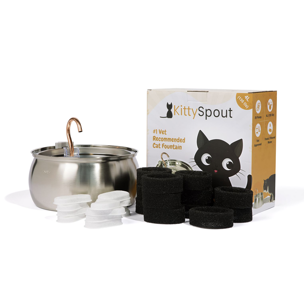 KittySpout™