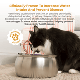 Kit de salud y felicidad para gatos The KittySpout™ thumbnail
