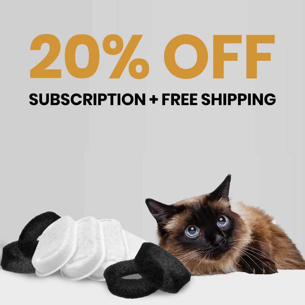 8x KittySpout™-filter - 8 månaders leverans