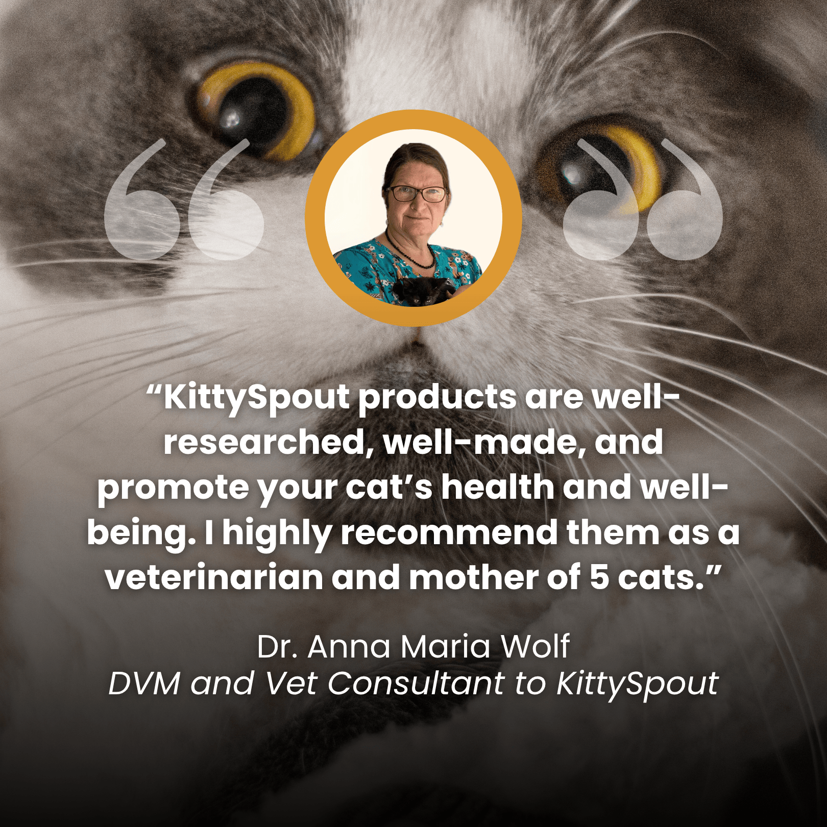 KittySpout™