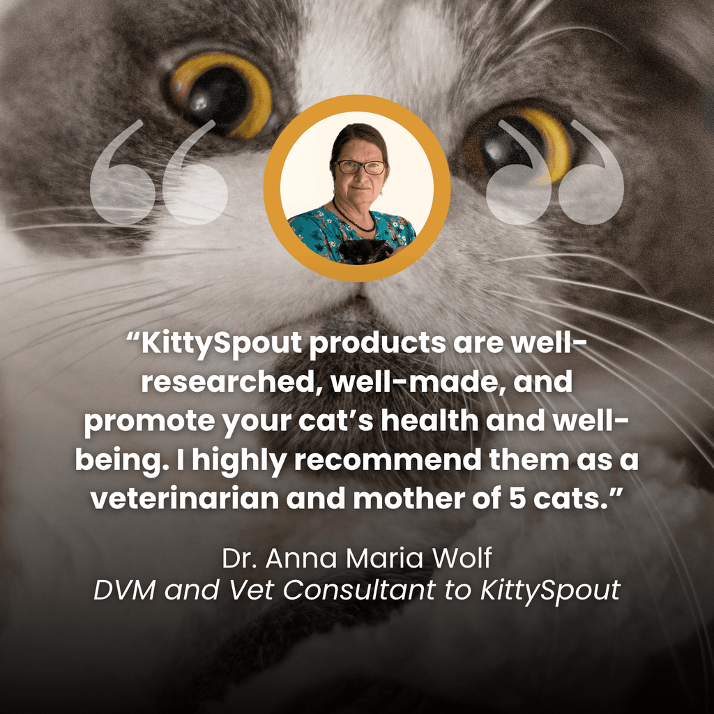 KittySpout™