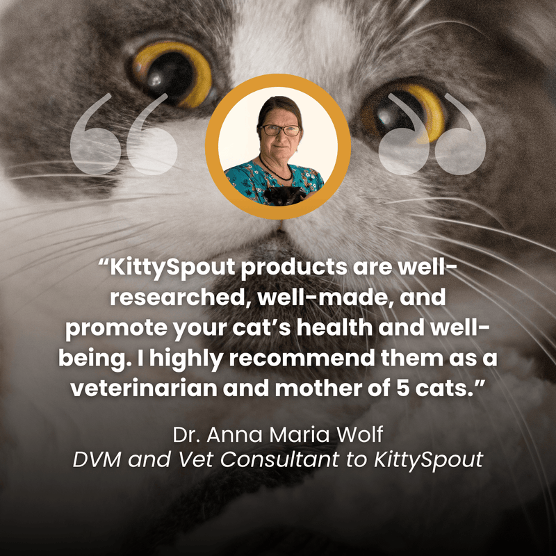 Kit de salud y felicidad para gatos The KittySpout™