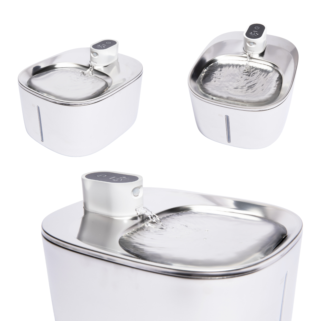 Wireless Big Cat Family Bundle