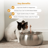 Kit de salud y felicidad para gatos The KittySpout™ thumbnail