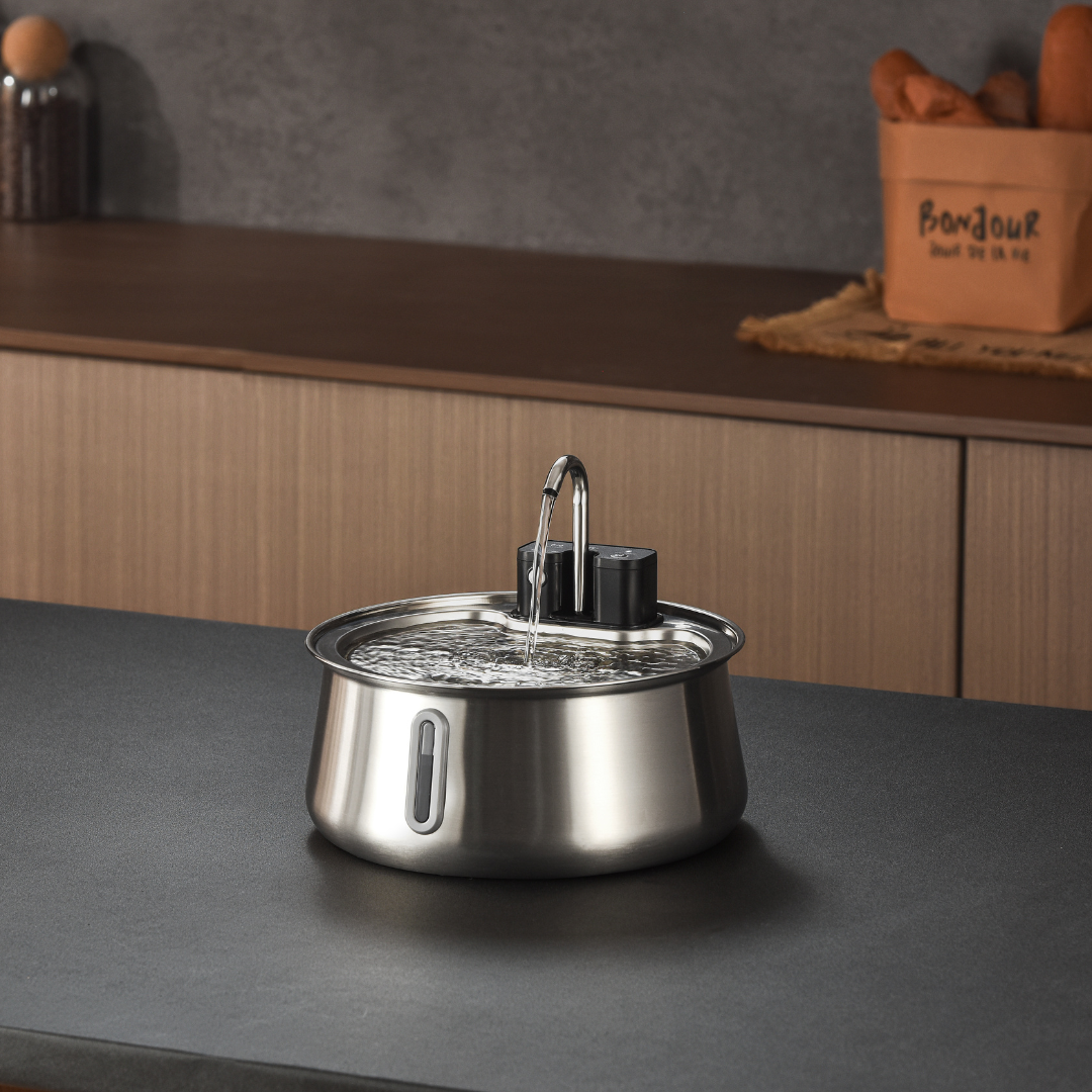 Wireless 2.0 Purrr-fect KittySpout Kit