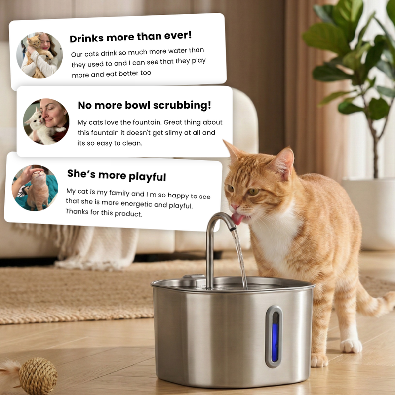 El KittySpout™ - Kit de 2 meses para la fuente de 2,2 l