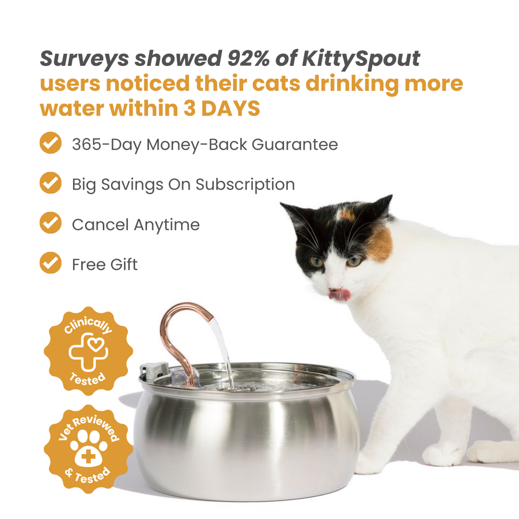 Le KittySpout™