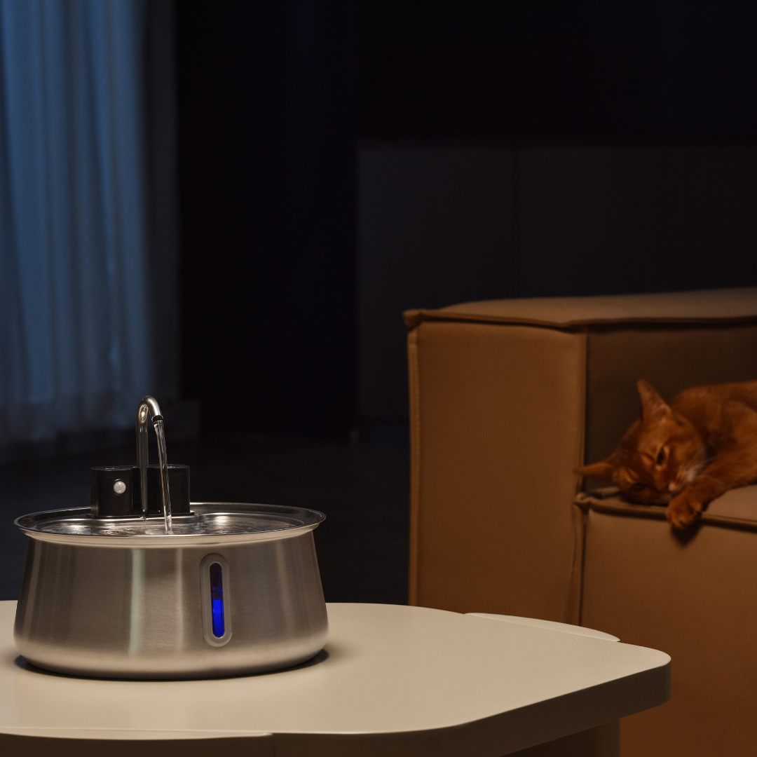 Refurbished The KittySpout - Wireless Fountain (Spout) - 4 Month: Wireless KittySpout + 8 filter sets + free gift