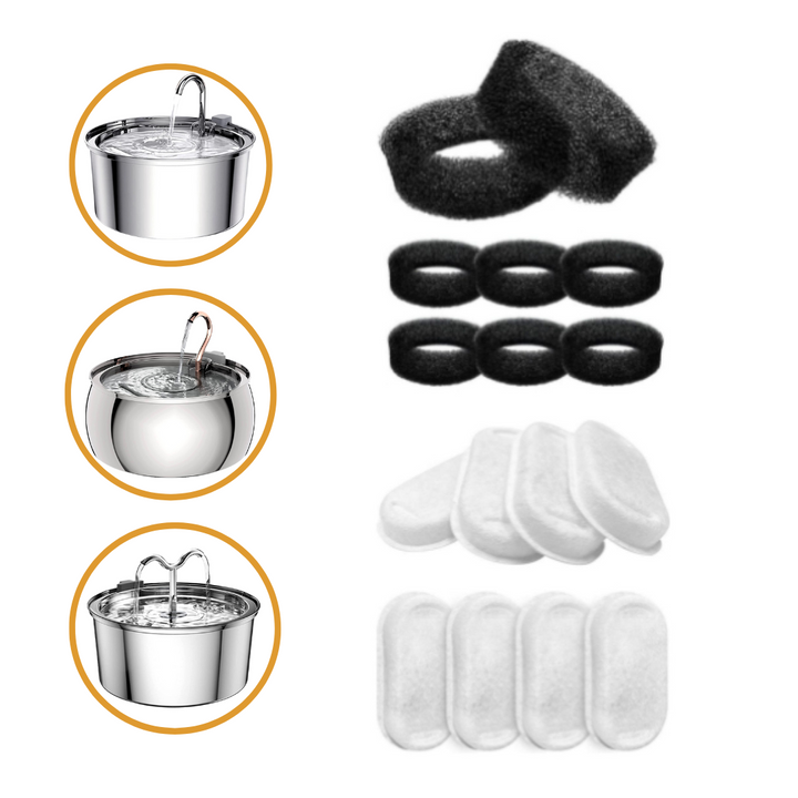 Paquete familiar de grandes felinos 