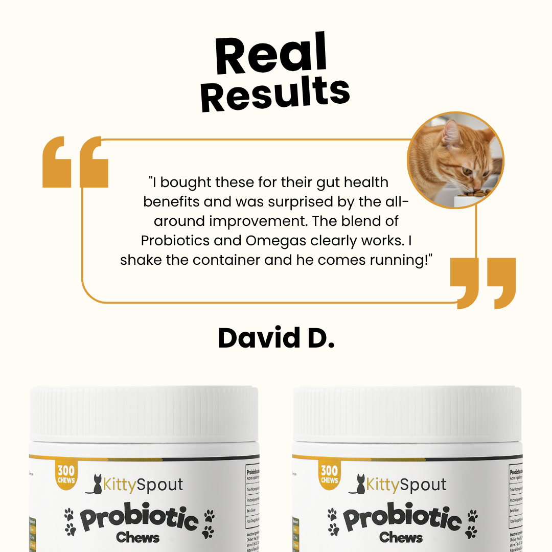 KittySpout Probiotic Chews - 90 Day Supply